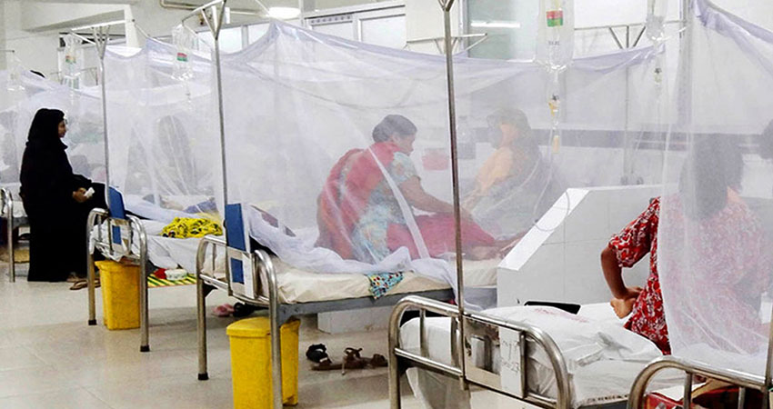 Five more dengue patients die in 24 hours; death toll rises to 61
