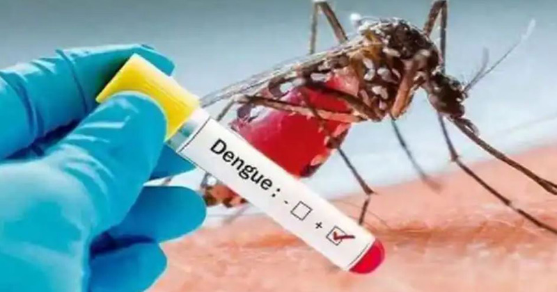 Bangladesh reports first dengue death of the year, 27 more hospitalised