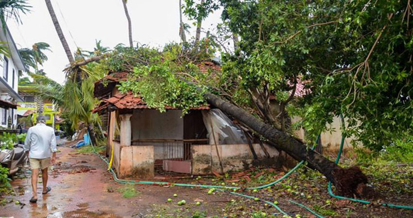 Trees uprooted, roofs blown off by cyclone in India's Gujarat