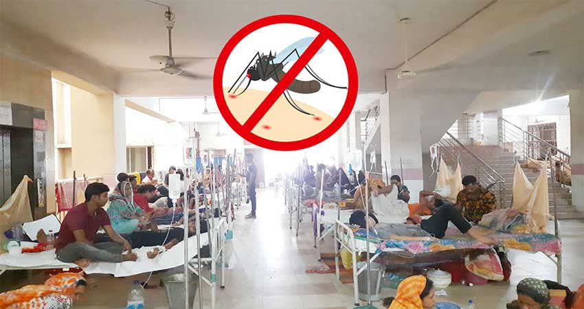 16 dengue patients die, 2,608 hospitalised in 24 hours