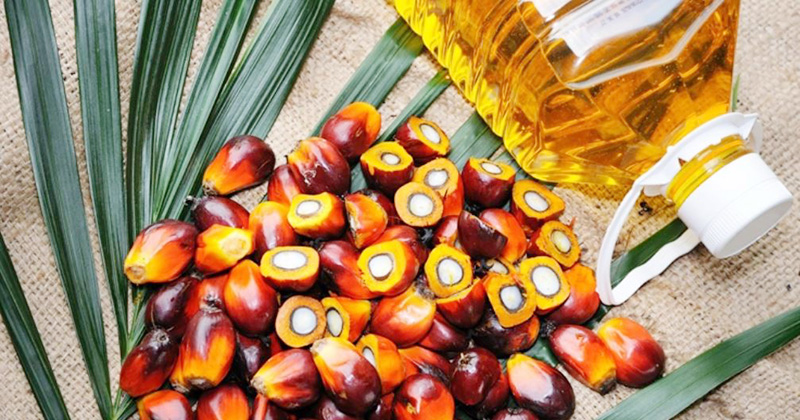 Indonesia to lift palm oil export ban from Monday