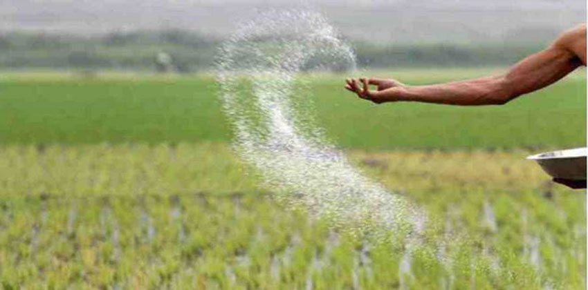 Govt to procure 1.40 lakh metric tones of fertilizer