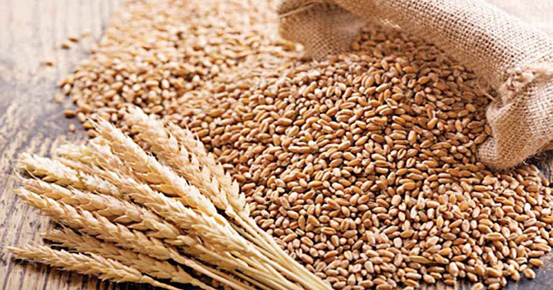 Bangladesh to import 10 lakh tonnes of wheat from India