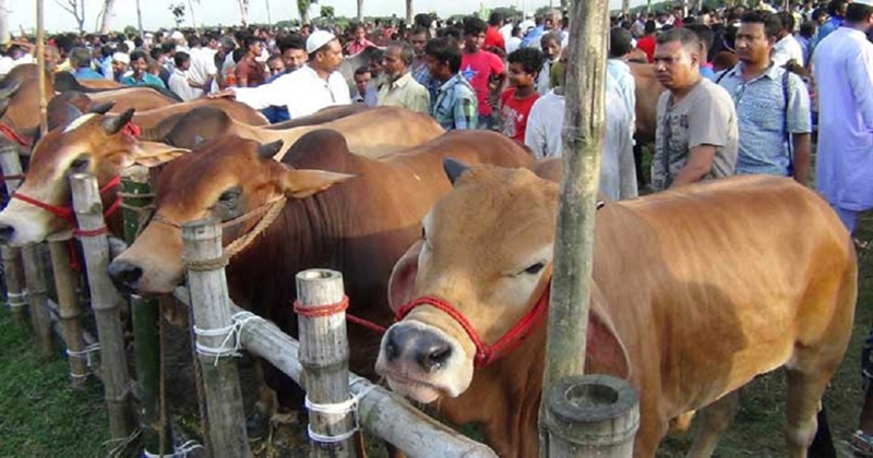 Six cattle markets under DNCC to see digital transaction