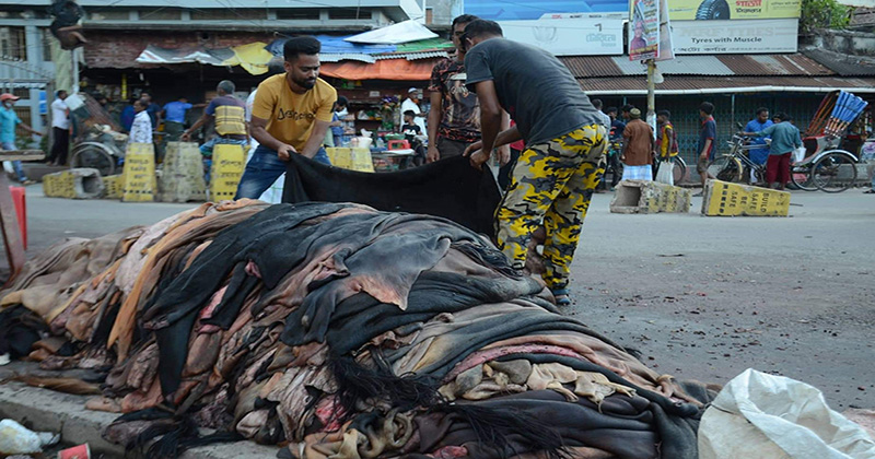 Tanneries collect 550,000 rawhide in 2 days