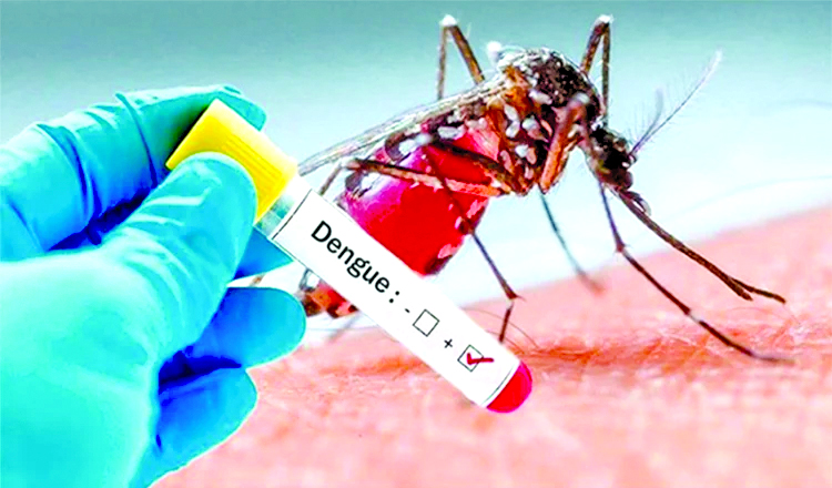 Govt's preventive steps help keep dengue situation under control