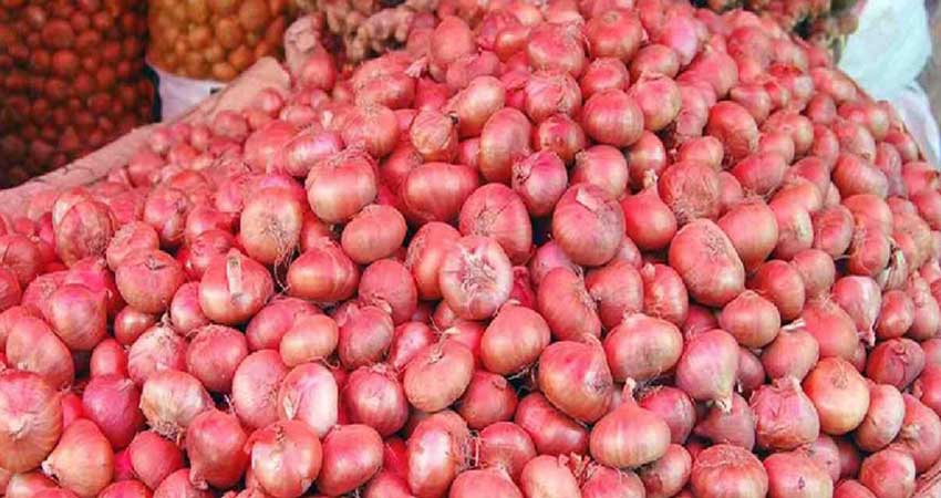 Govt to give incentive to increase summer onion production