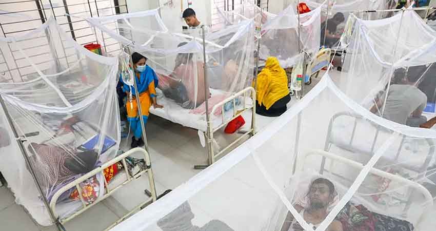 Four wards of South City marked as dengue red zone