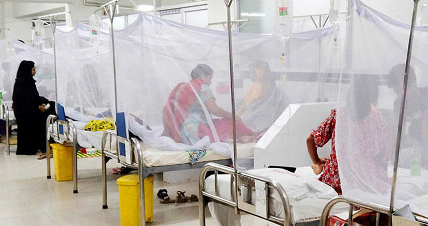 Dengue outbreak: 4 dead, 477 patients hospitalised in 24hrs