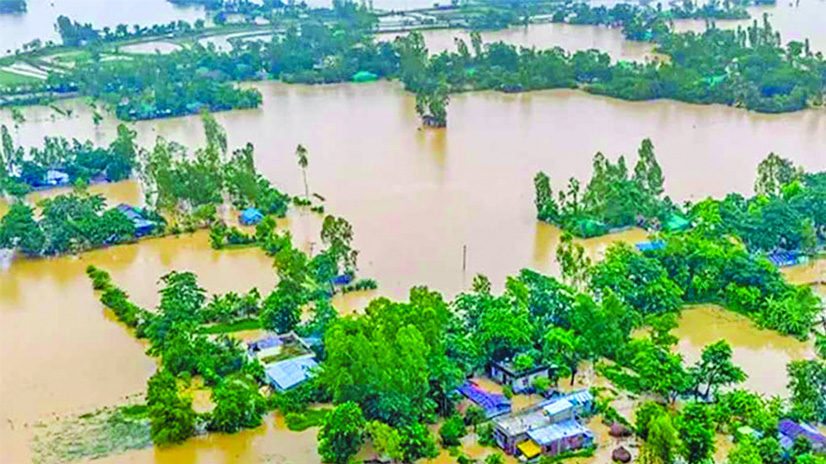 Floods Cause Tk 77 Crore Livestock Loss in Chattogram