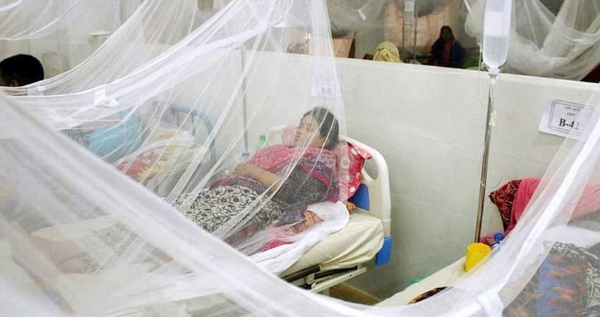 Seven dengue patients die, 2,367 hospitalised in a day