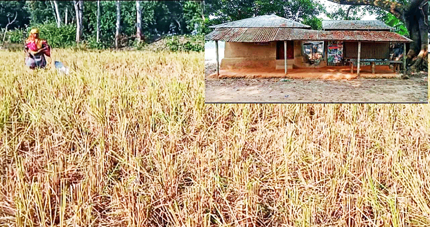 নওগাঁর নিয়ামতপুরে ৯ বিঘা দেবত্ব সম্পত্তি আত্মসাৎ