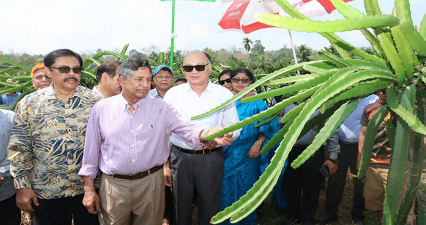 কৃষি আধুনিক হলেই মানুষের জীবনমানের উন্নয়ন হবে: কৃষিমন্ত্রী