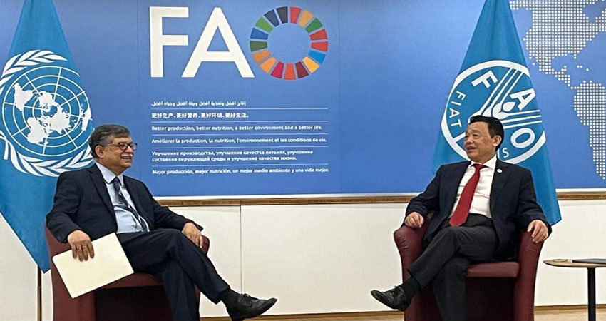 FAO DG lauds PM Hasina’s leadership in ensuring food security in Bangladesh