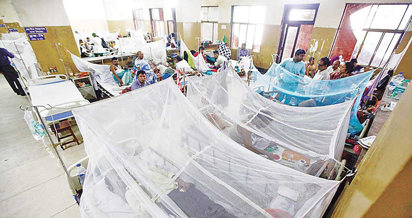 Dengue death toll stands at 113 as another die, 1034 more hospitalized