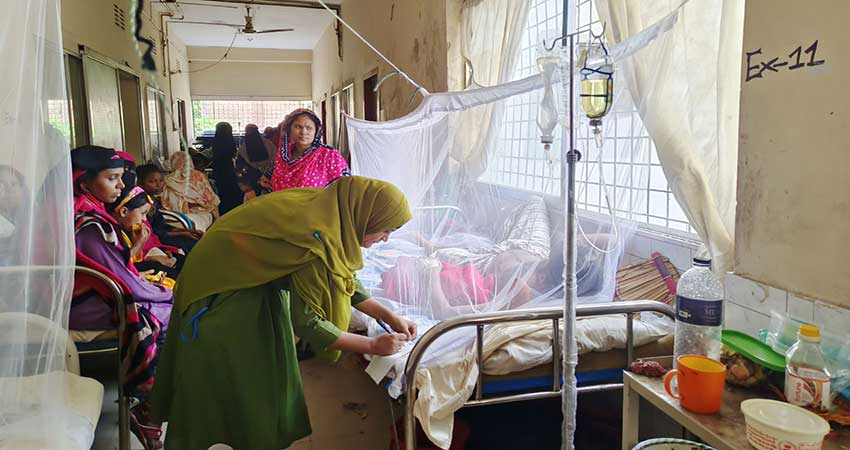 Dengue death toll goes near 800 as 12 more patients die in 24hrs