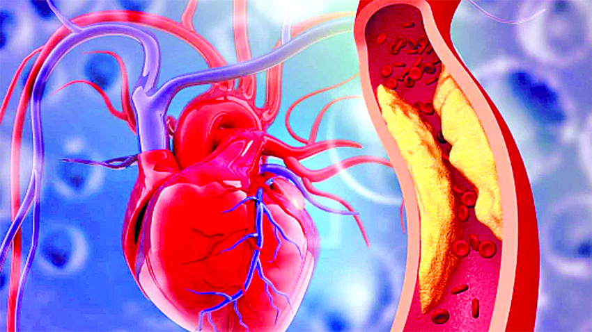 Drug abuse threatens young hearts, fuels rise in early heart attacks