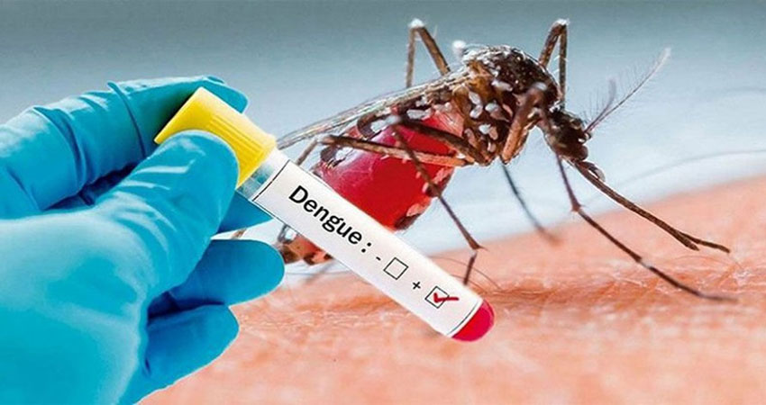 Dengue claims 10 more lives, 2,361 hospitalised