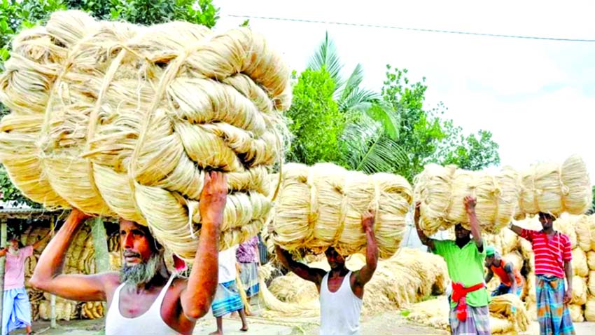 Minister briefs Parliament on govt  initiatives to revive jute industry