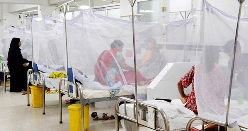 Dengue claims nine lives in 24hrs